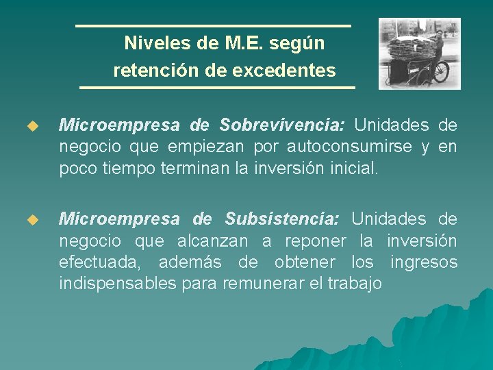 Niveles de M. E. según retención de excedentes u Microempresa de Sobrevivencia: Unidades de