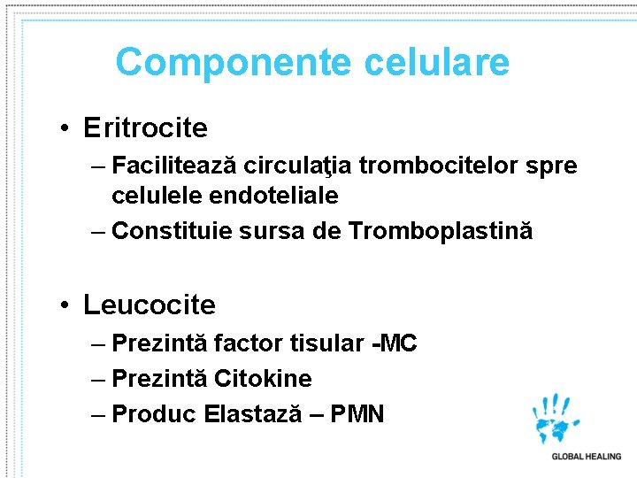 Componente celulare • Eritrocite – Facilitează circulaţia trombocitelor spre celulele endoteliale – Constituie sursa