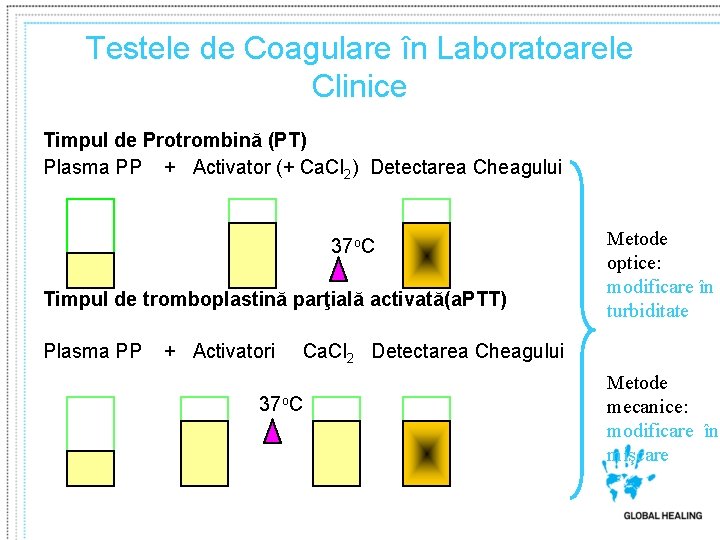 Testele de Coagulare în Laboratoarele Clinice Timpul de Protrombină (PT) Plasma PP + Activator