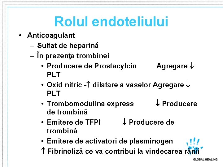 Rolul endoteliului • Anticoagulant – Sulfat de heparină – În prezenţa trombinei • Producere Rolul endoteliului • Anticoagulant – Sulfat de heparină – În prezenţa trombinei • Producere