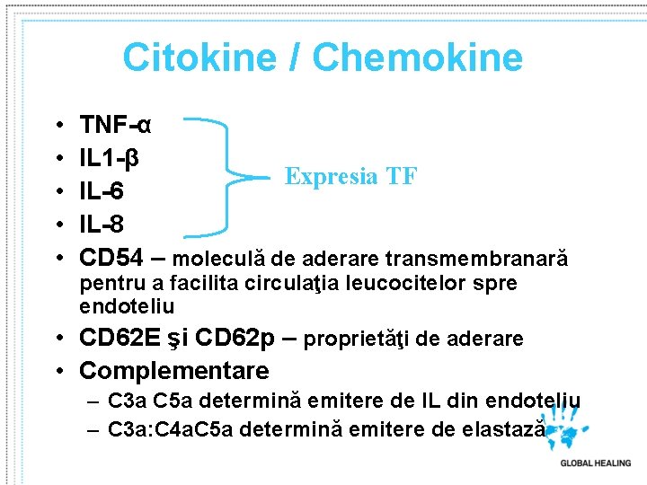 Citokine / Chemokine • • • TNF-α IL 1 -β Expresia TF IL-6 IL-8 Citokine / Chemokine • • • TNF-α IL 1 -β Expresia TF IL-6 IL-8