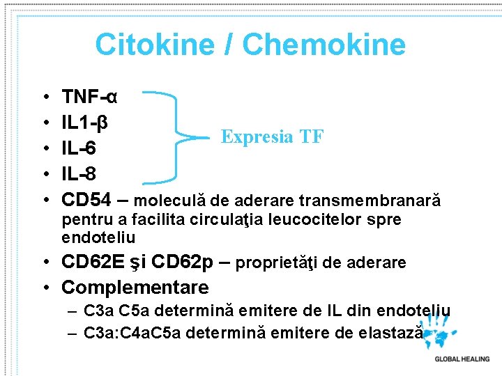 Citokine / Chemokine • • • TNF-α IL 1 -β Expresia TF IL-6 IL-8