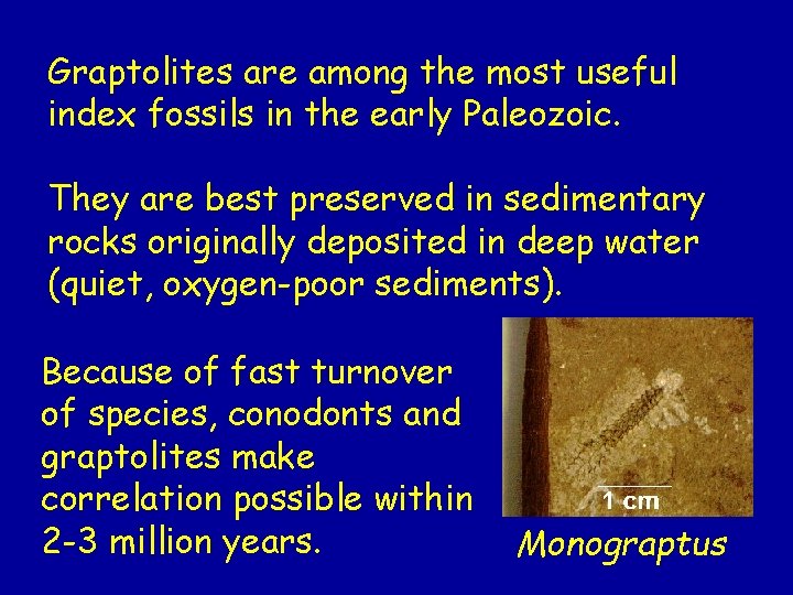 Graptolites are among the most useful index fossils in the early Paleozoic. They are