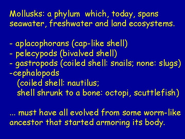 Mollusks: a phylum which, today, spans seawater, freshwater and land ecosystems. - aplacophorans (cap-like