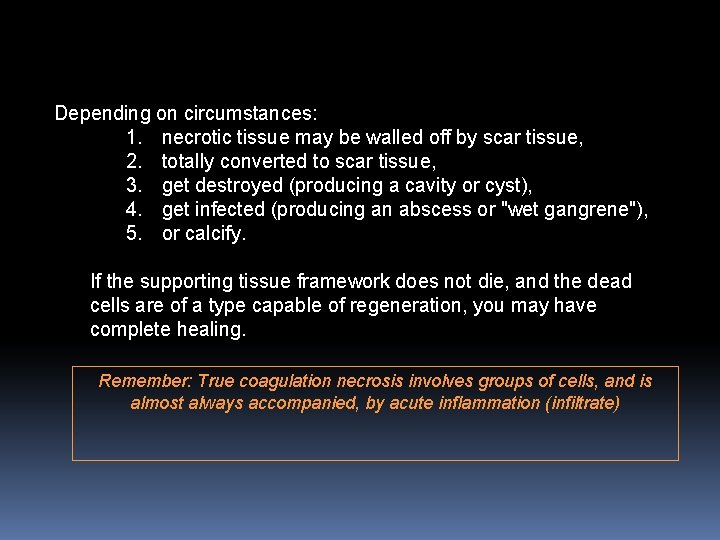 Depending on circumstances: 1. necrotic tissue may be walled off by scar tissue, 2. Depending on circumstances: 1. necrotic tissue may be walled off by scar tissue, 2.