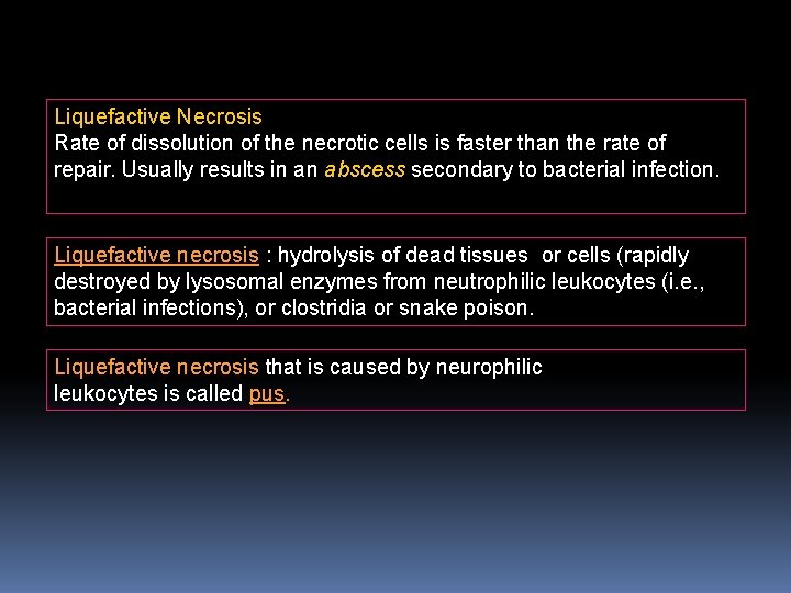 Liquefactive Necrosis Rate of dissolution of the necrotic cells is faster than the rate