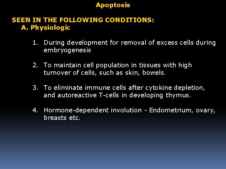 Apoptosis SEEN IN THE FOLLOWING CONDITIONS: A. Physiologic 1. During development for removal of