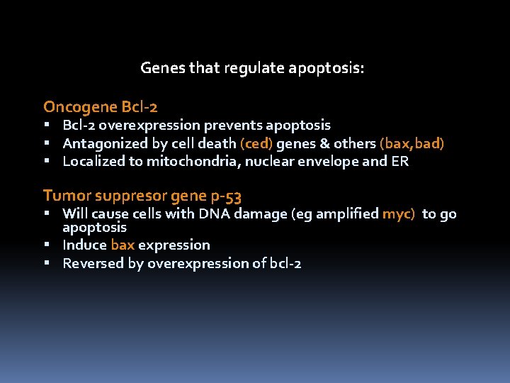 Genes that regulate apoptosis: Oncogene Bcl-2 overexpression prevents apoptosis Antagonized by cell death (ced)