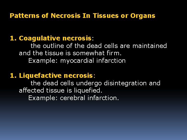 Patterns of Necrosis In Tissues or Organs 1. Coagulative necrosis: the outline of the