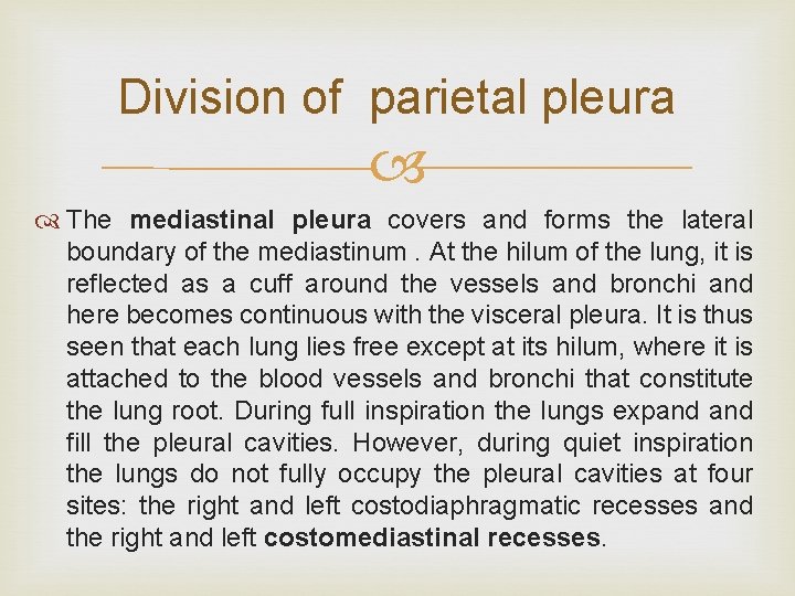 Division of parietal pleura The mediastinal pleura covers and forms the lateral boundary of