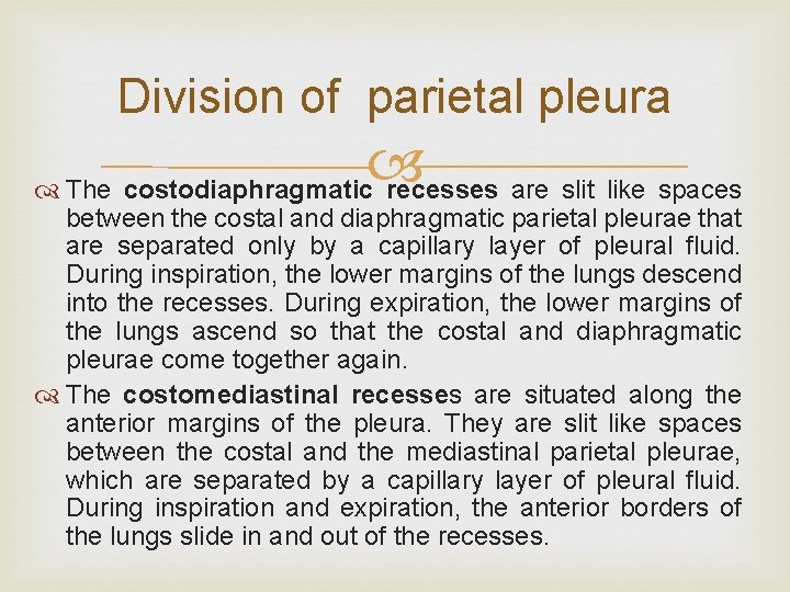 Division of parietal pleura The costodiaphragmatic recesses are slit like spaces between the costal