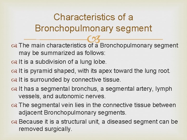 Characteristics of a Bronchopulmonary segment The main characteristics of a Bronchopulmonary segment may be