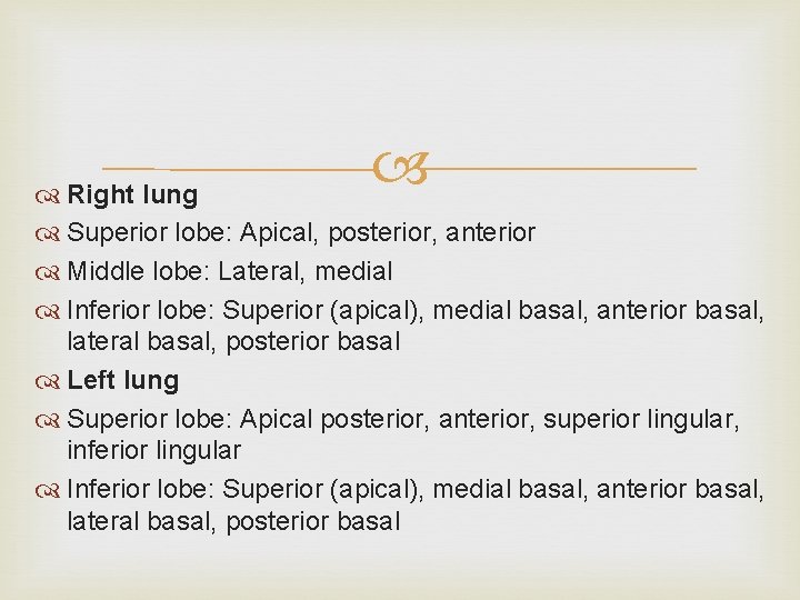  Right lung Superior lobe: Apical, posterior, anterior Middle lobe: Lateral, medial Inferior lobe: