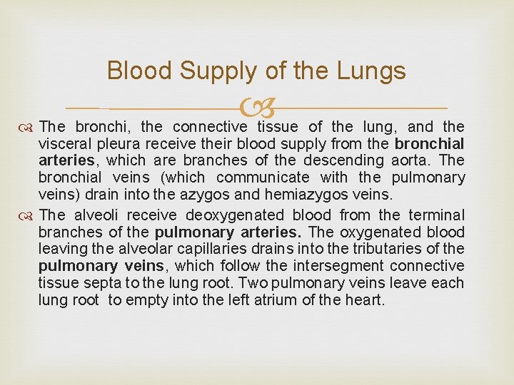 Blood Supply of the Lungs The bronchi, the connective tissue of the lung, and