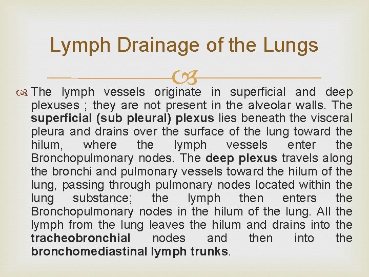 Lymph Drainage of the Lungs originate The lymph vessels in superficial and deep plexuses