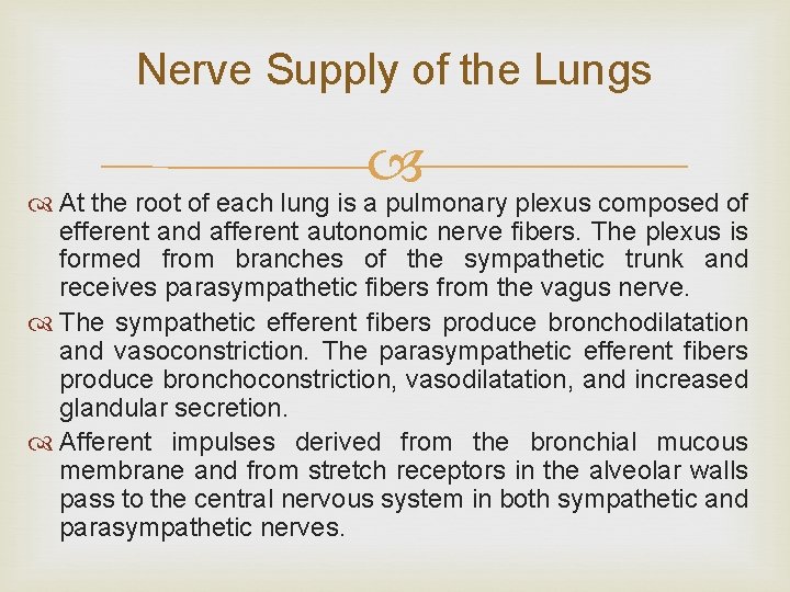 Nerve Supply of the Lungs At the root of each lung is a pulmonary