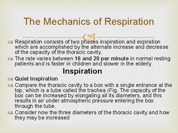 The Mechanics of Respiration consists of two phases inspiration and expiration which are accomplished