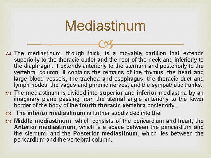Mediastinum The mediastinum, though thick, is a movable partition that extends superiorly to the