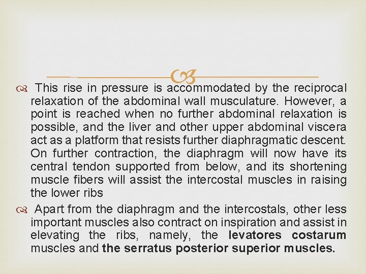  This rise in pressure is accommodated by the reciprocal relaxation of the abdominal