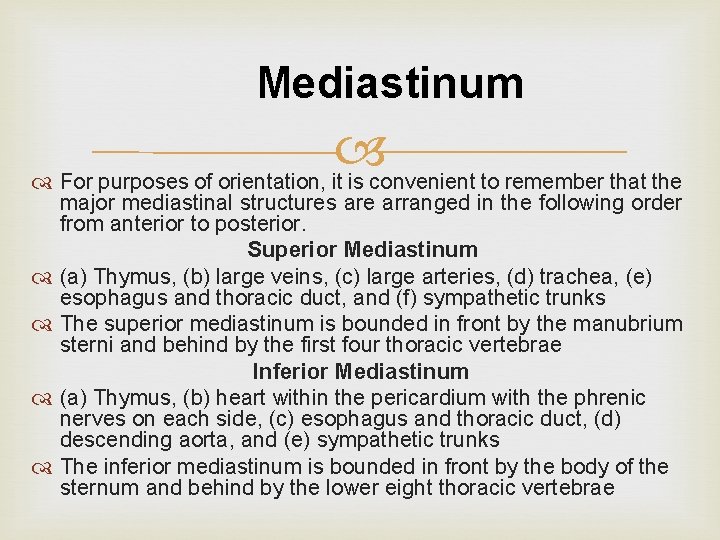 Mediastinum For purposes of orientation, it is convenient to remember that the major mediastinal