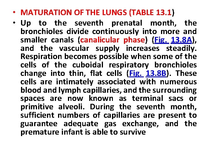  • MATURATION OF THE LUNGS (TABLE 13. 1) • Up to the seventh