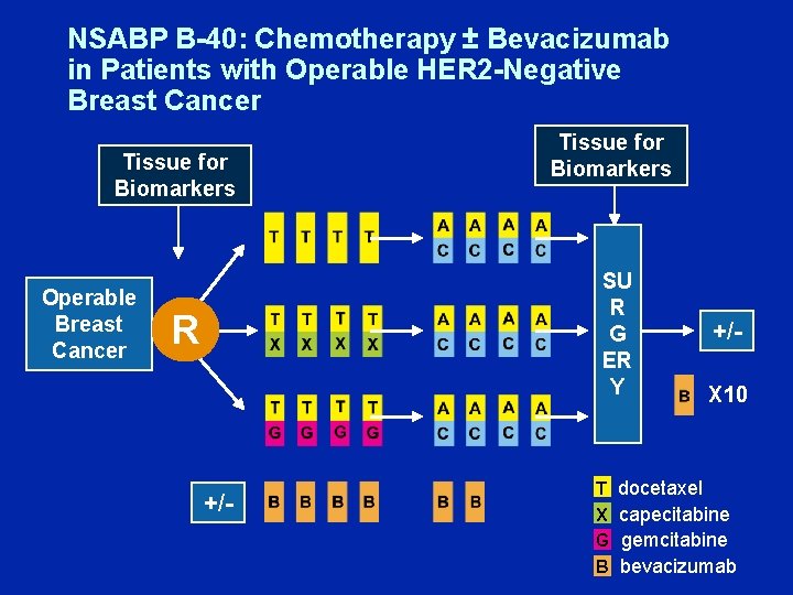 NSABP B-40: Chemotherapy ± Bevacizumab in Patients with Operable HER 2 -Negative Breast Cancer