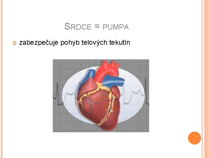 SRDCE = PUMPA zabezpečuje pohyb telových tekutín 