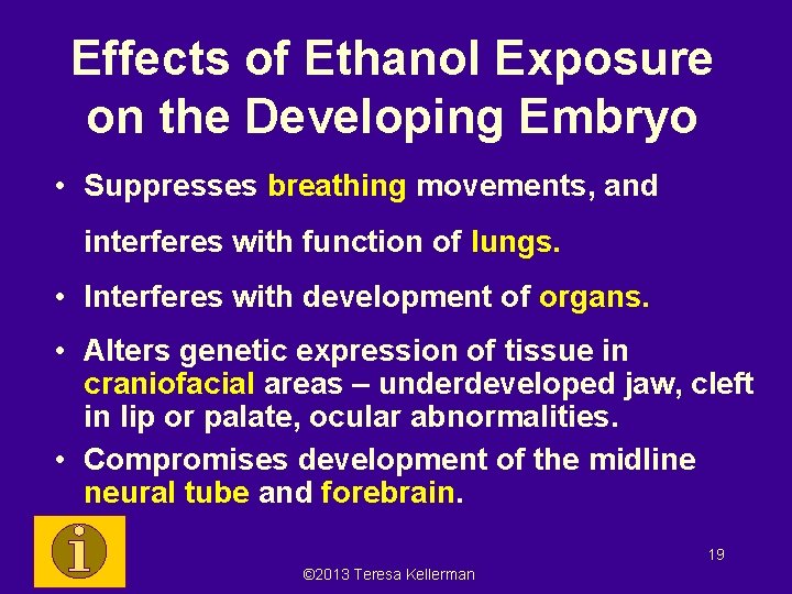 Effects of Ethanol Exposure on the Developing Embryo • Suppresses breathing movements, and interferes