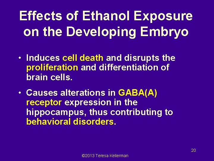 Effects of Ethanol Exposure on the Developing Embryo • Induces cell death and disrupts