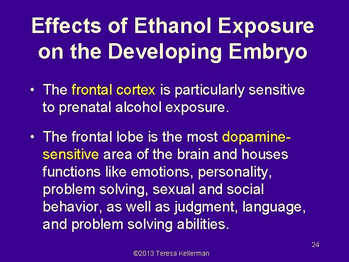 Effects of Ethanol Exposure on the Developing Embryo • The frontal cortex is particularly