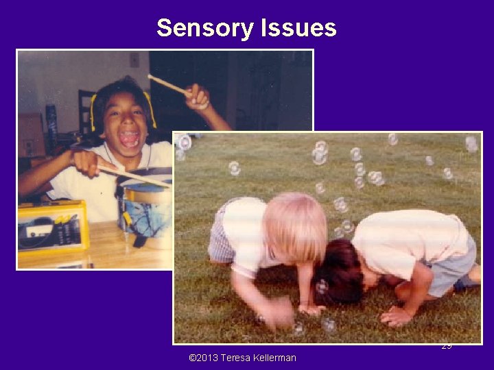 Sensory Issues 29 © 2013 Teresa Kellerman 