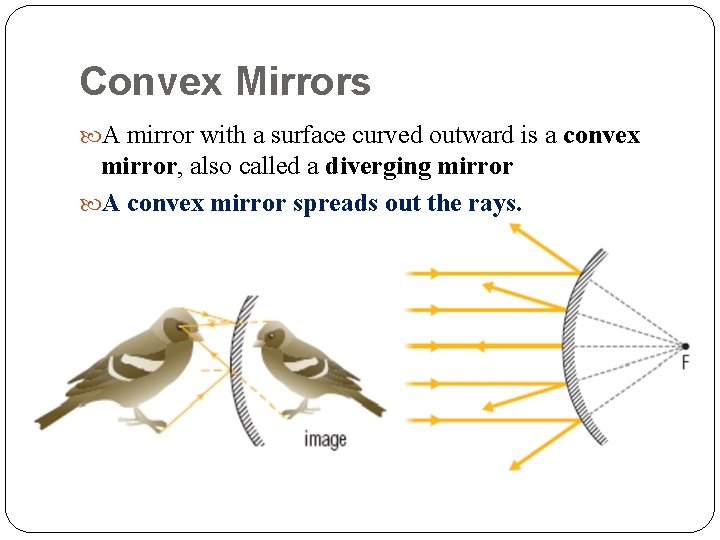 Convex Mirrors A mirror with a surface curved outward is a convex mirror, also Convex Mirrors A mirror with a surface curved outward is a convex mirror, also