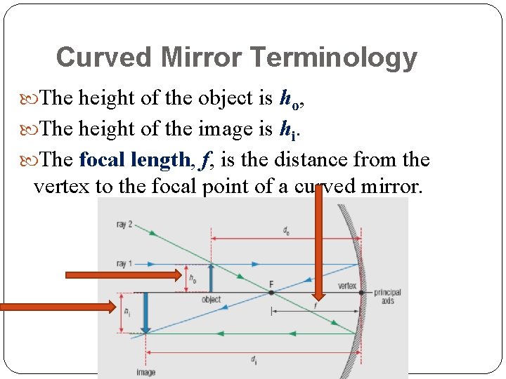 Curved Mirror Terminology The height of the object is ho, The height of the Curved Mirror Terminology The height of the object is ho, The height of the