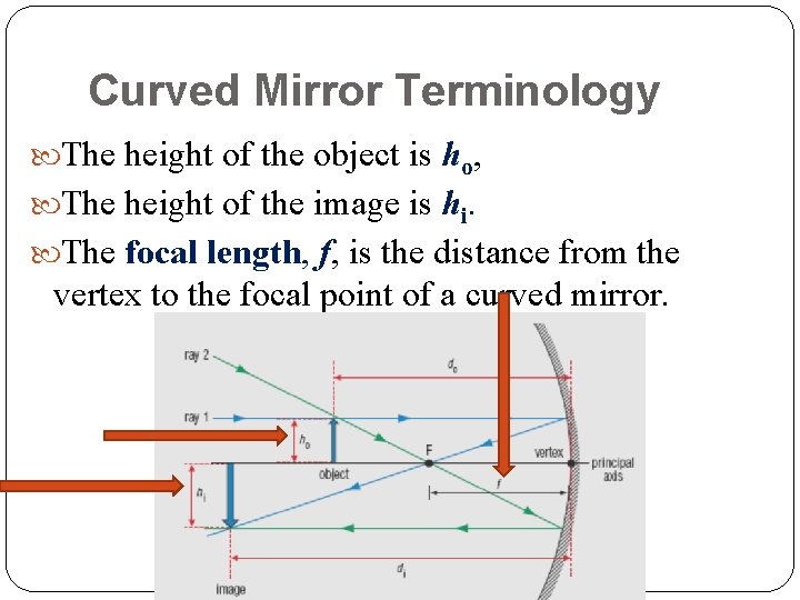 Curved Mirror Terminology The height of the object is ho, The height of the