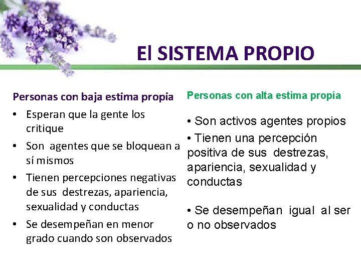 El SISTEMA PROPIO Personas con baja estima propia • Esperan que la gente los