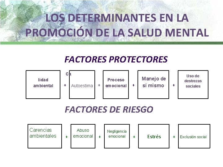 LOS DETERMINANTES EN LA PROMOCIÓN DE LA SALUD MENTAL FACTORES PROTECTORES Ca lidad +
