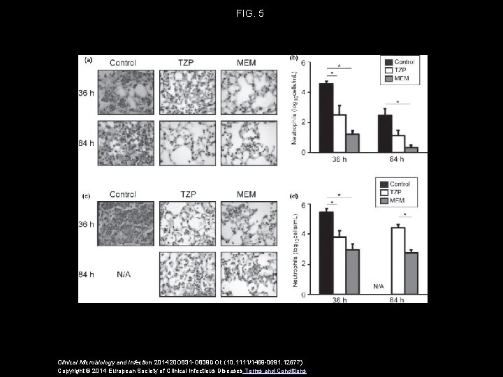 FIG. 5 Clinical Microbiology and Infection 2014 20 O 831 -O 839 DOI: (10.