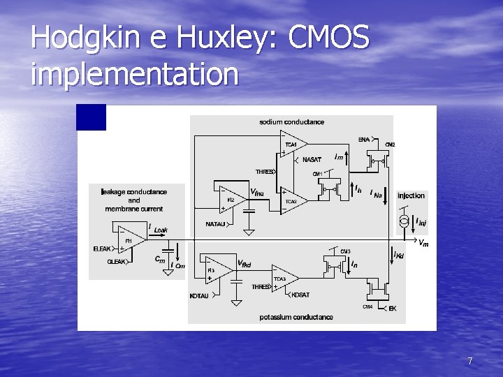 Hodgkin e Huxley: CMOS implementation 7 