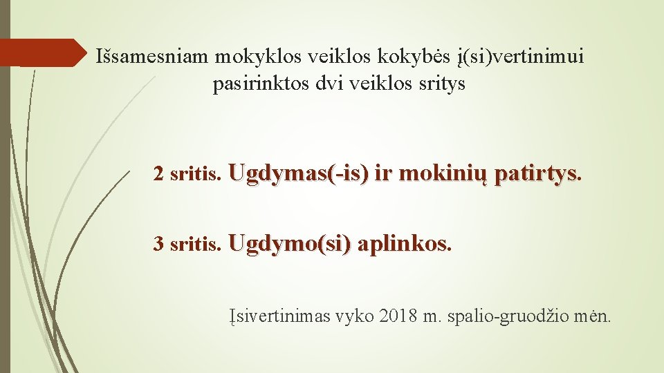 Išsamesniam mokyklos veiklos kokybės į(si)vertinimui pasirinktos dvi veiklos sritys 2 sritis. Ugdymas(-is) ir mokinių