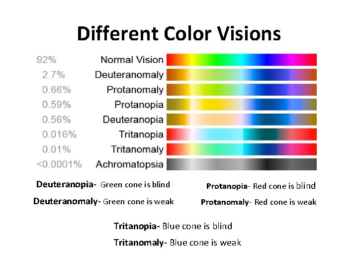 Different Color Visions Deuteranopia- Green cone is blind Protanopia- Red cone is blind Deuteranomaly-