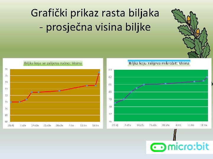 Grafički prikaz rasta biljaka - prosječna visina biljke 