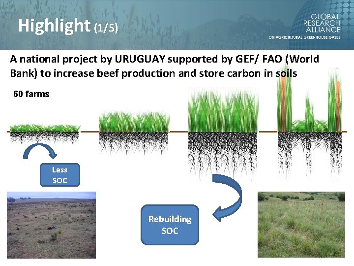 Highlight (1/5) A national project by URUGUAY supported by GEF/ FAO (World Bank) to