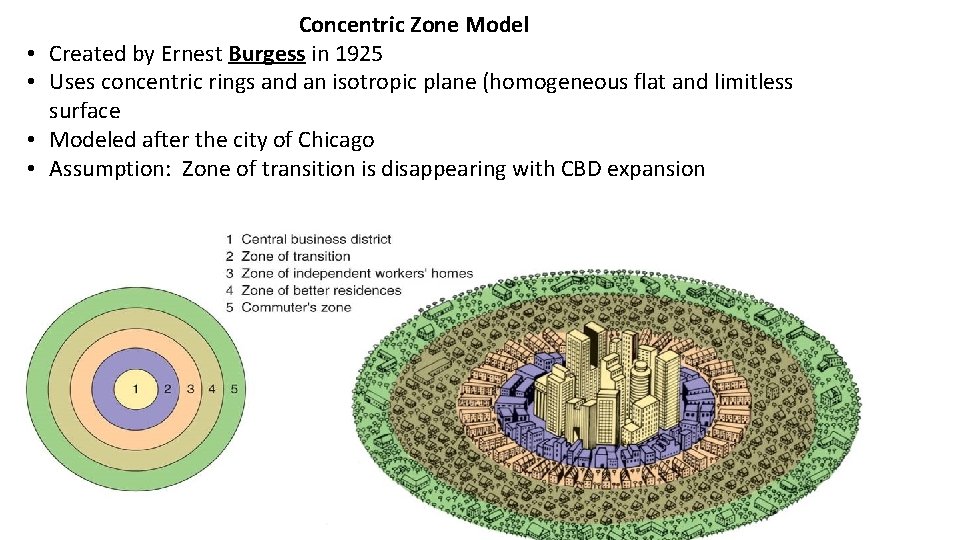  • • Concentric Zone Model Created by Ernest Burgess in 1925 Uses concentric