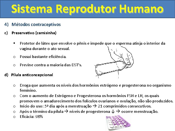 Sistema Reprodutor Humano 4) Métodos contraceptivos c) Preservativo (camisinha) § Protetor de látex que