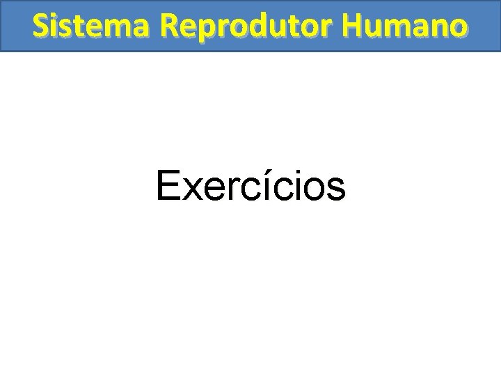 Sistema Reprodutor Humano Exercícios 