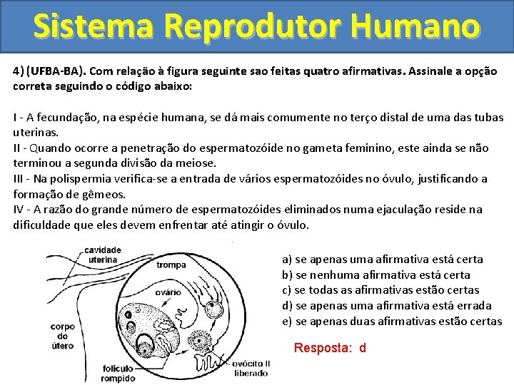 Sistema Reprodutor Humano 4) (UFBA-BA). Com relaçäo à figura seguinte sao feitas quatro afirmativas.