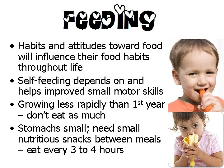  • Habits and attitudes toward food will influence their food habits throughout life