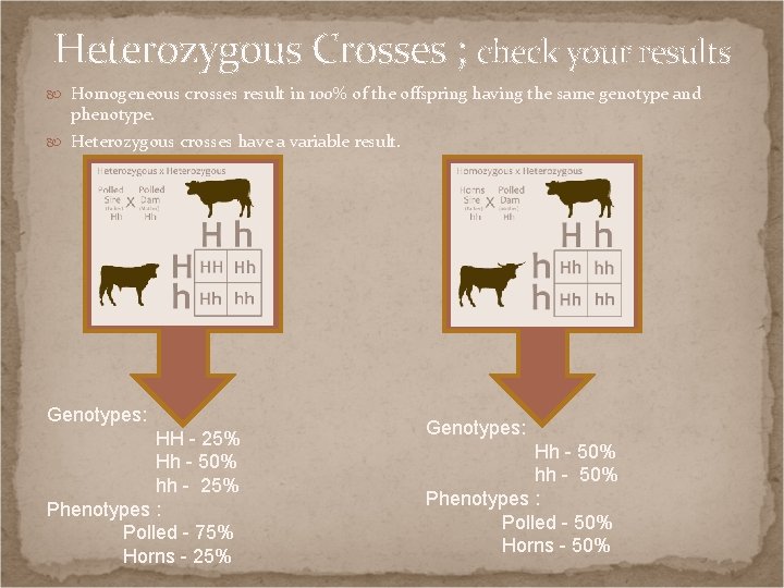 Heterozygous Crosses ; check your results Homogeneous crosses result in 100% of the offspring
