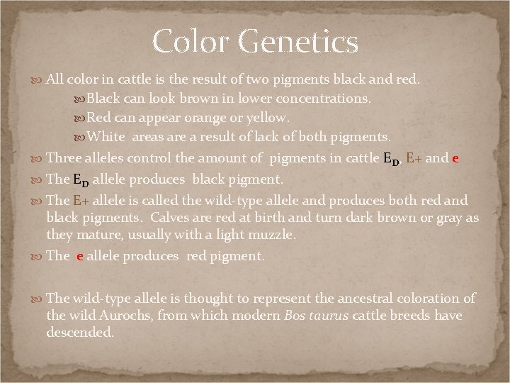 Color Genetics All color in cattle is the result of two pigments black and