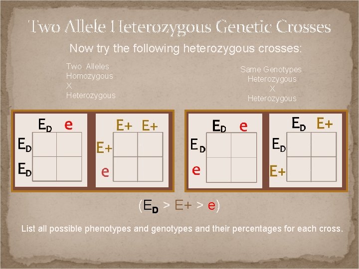 Two Allele Heterozygous Genetic Crosses Now try the following heterozygous crosses: Two Alleles Homozygous